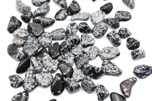 Snowflake Obsidian Tumbled Stone || Small