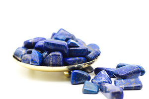 Lapis Lazuli Tumbled Stone || Small