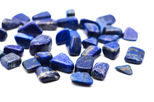 Lapis Lazuli Tumbled Stone || Small