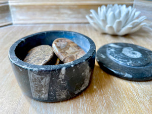 Orthoceras Jewelry & Trinket Box