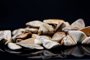 Picture Jasper Tumbled Stone || Small