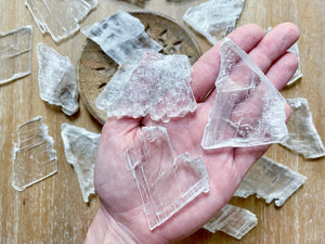 Fishtail Angel Wing Selenite