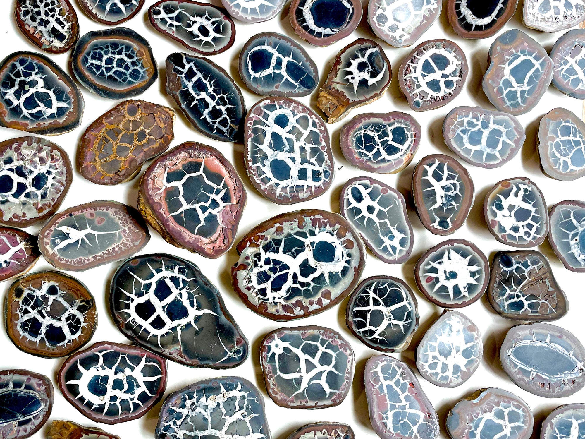 Black Septarian Nodules || Morocco
