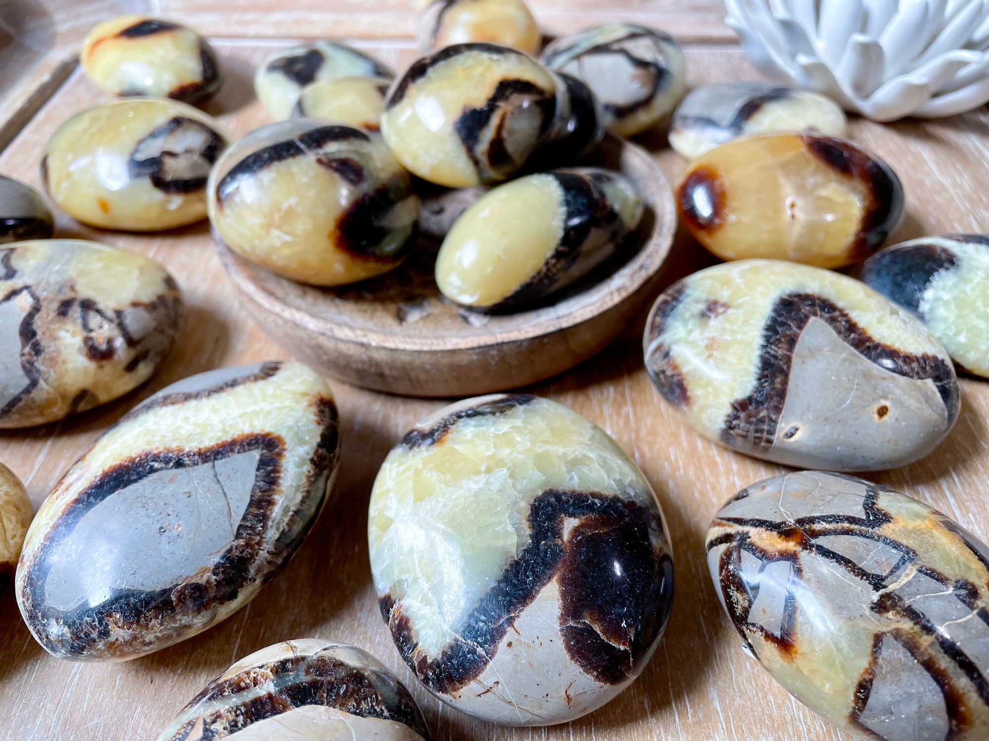 Septarian Palm Stone