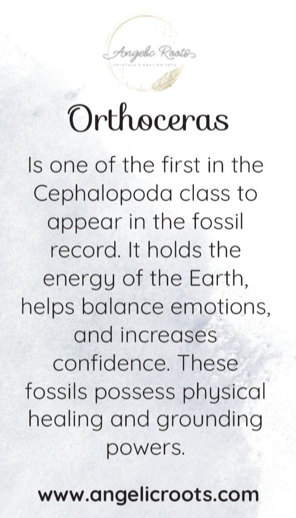 Orthoceras Crystal Card