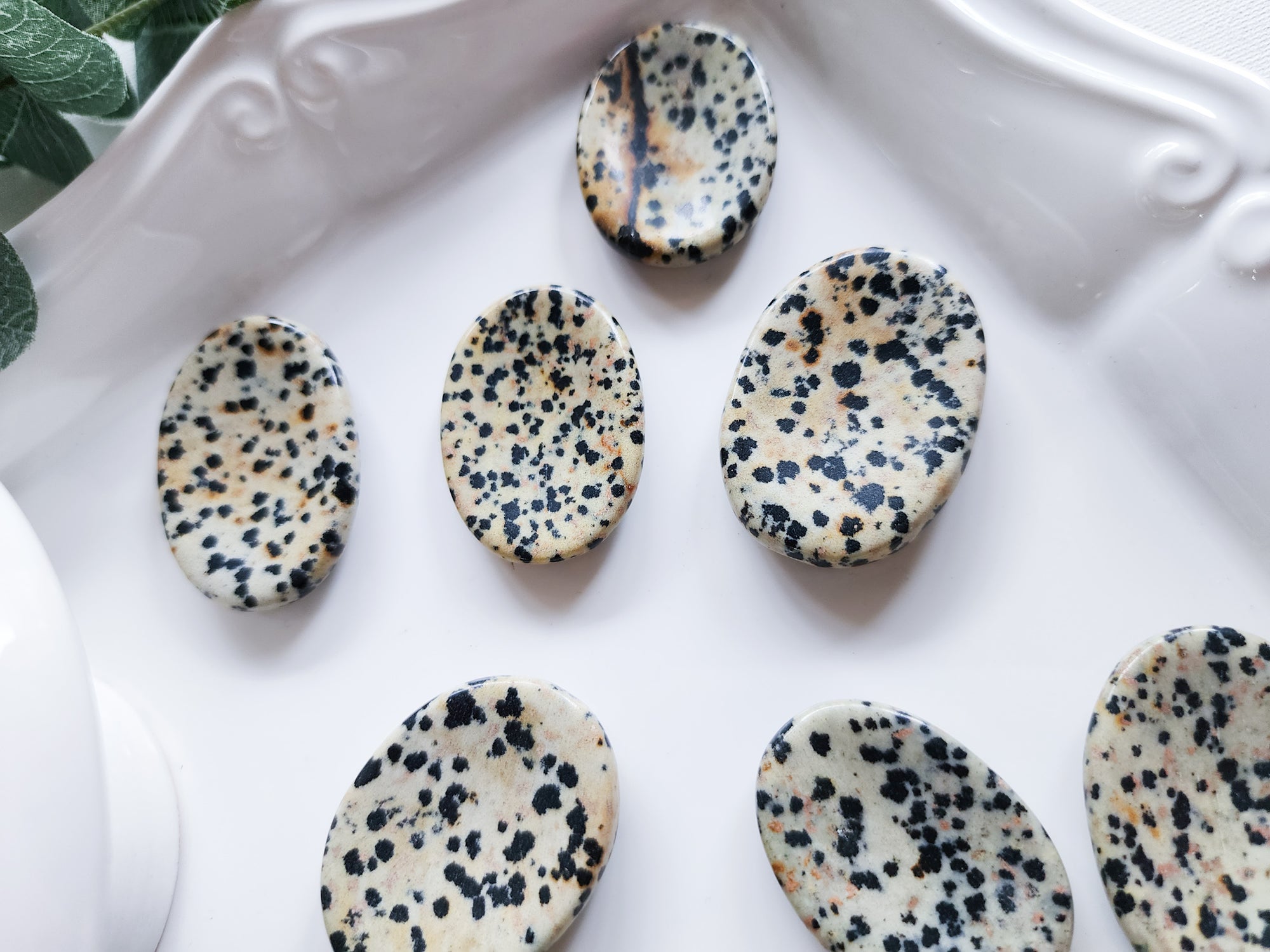 Dalmatian Jasper Mini Worry Stone