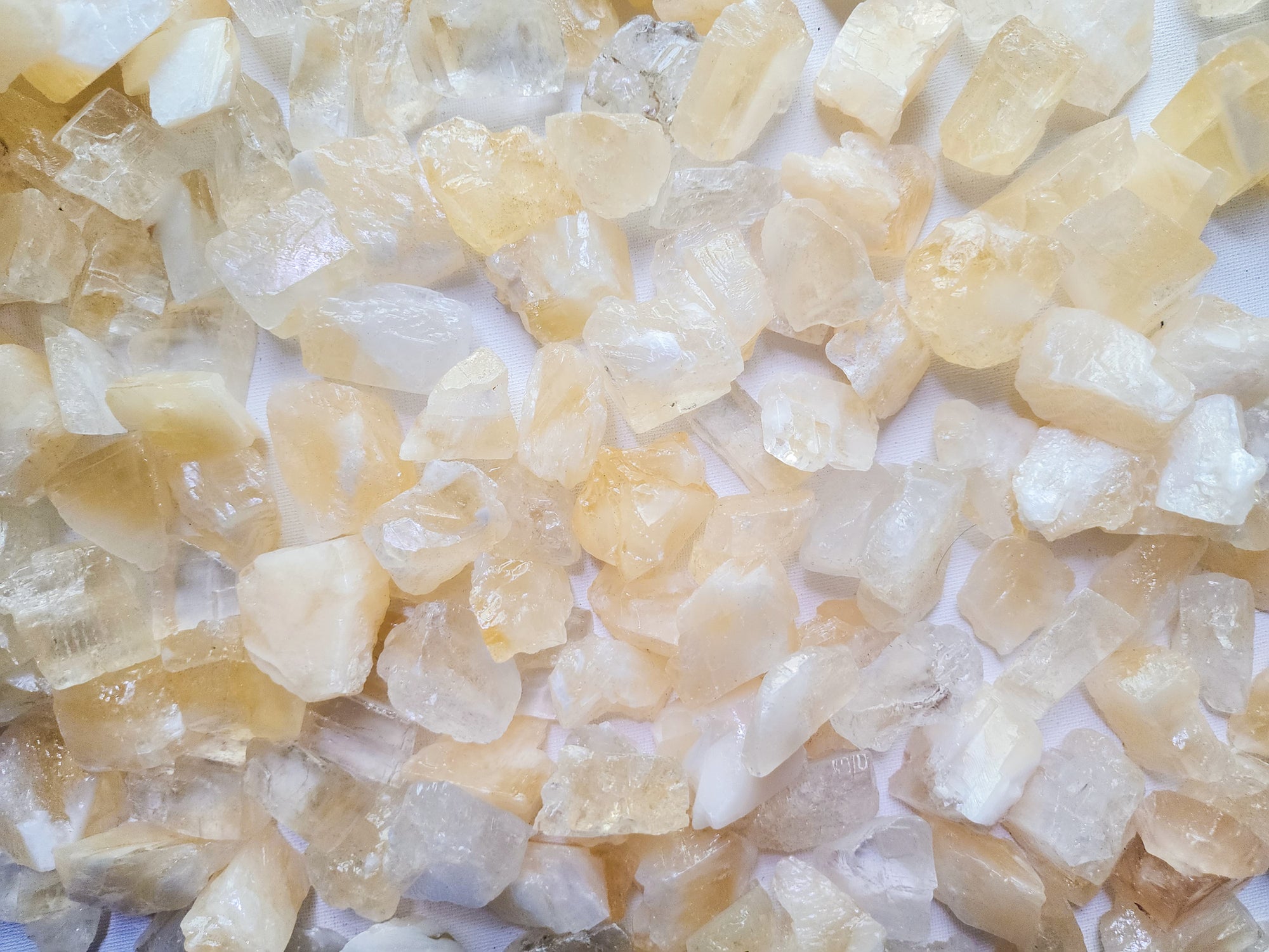 Angel Wing Calcite Raw Stones