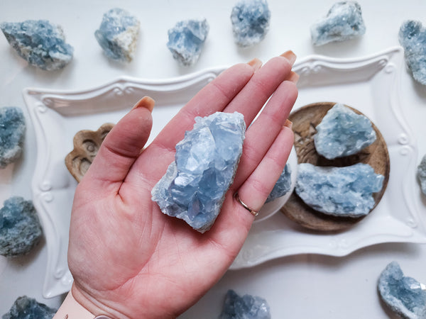 Celestite Cluster - Angelic Roots