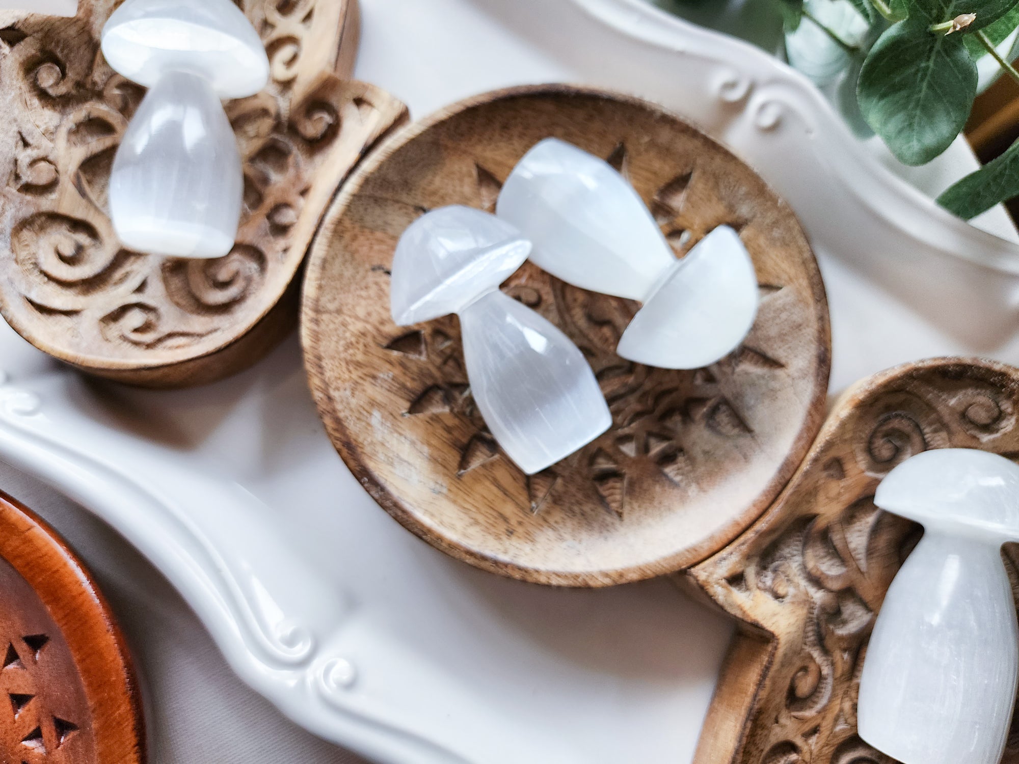 Selenite Mushroom