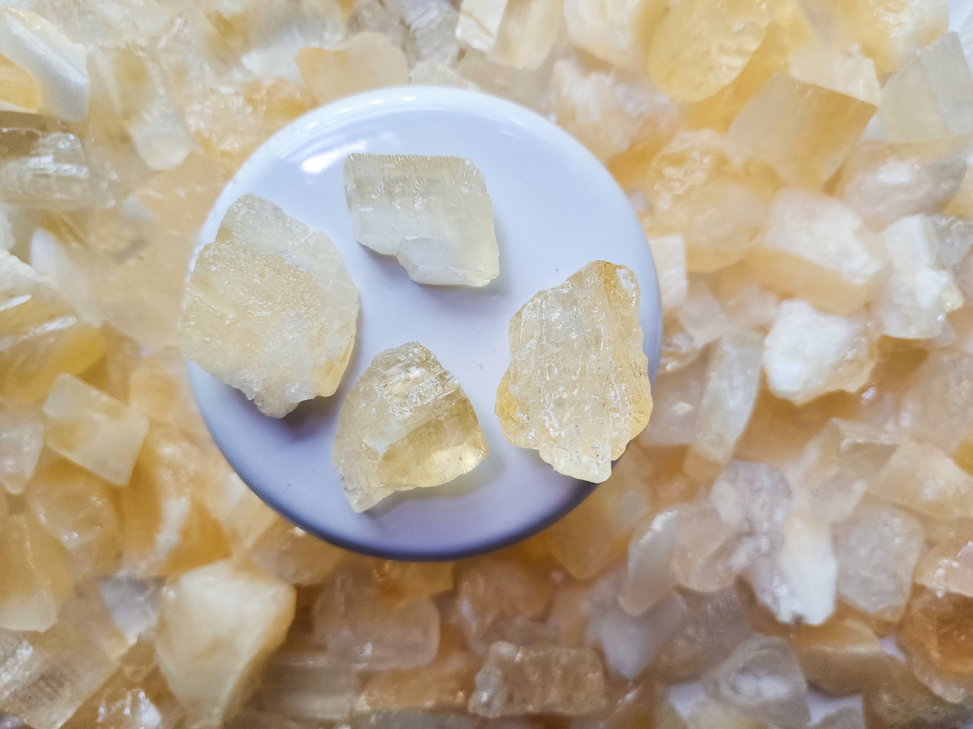 Angel Wing Calcite Raw Stones