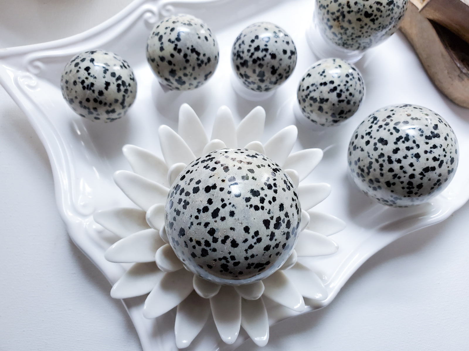 Dalmatian Jasper Sphere