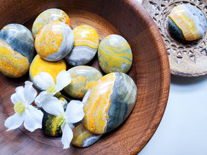 Bumblebee Jasper Palm Stone