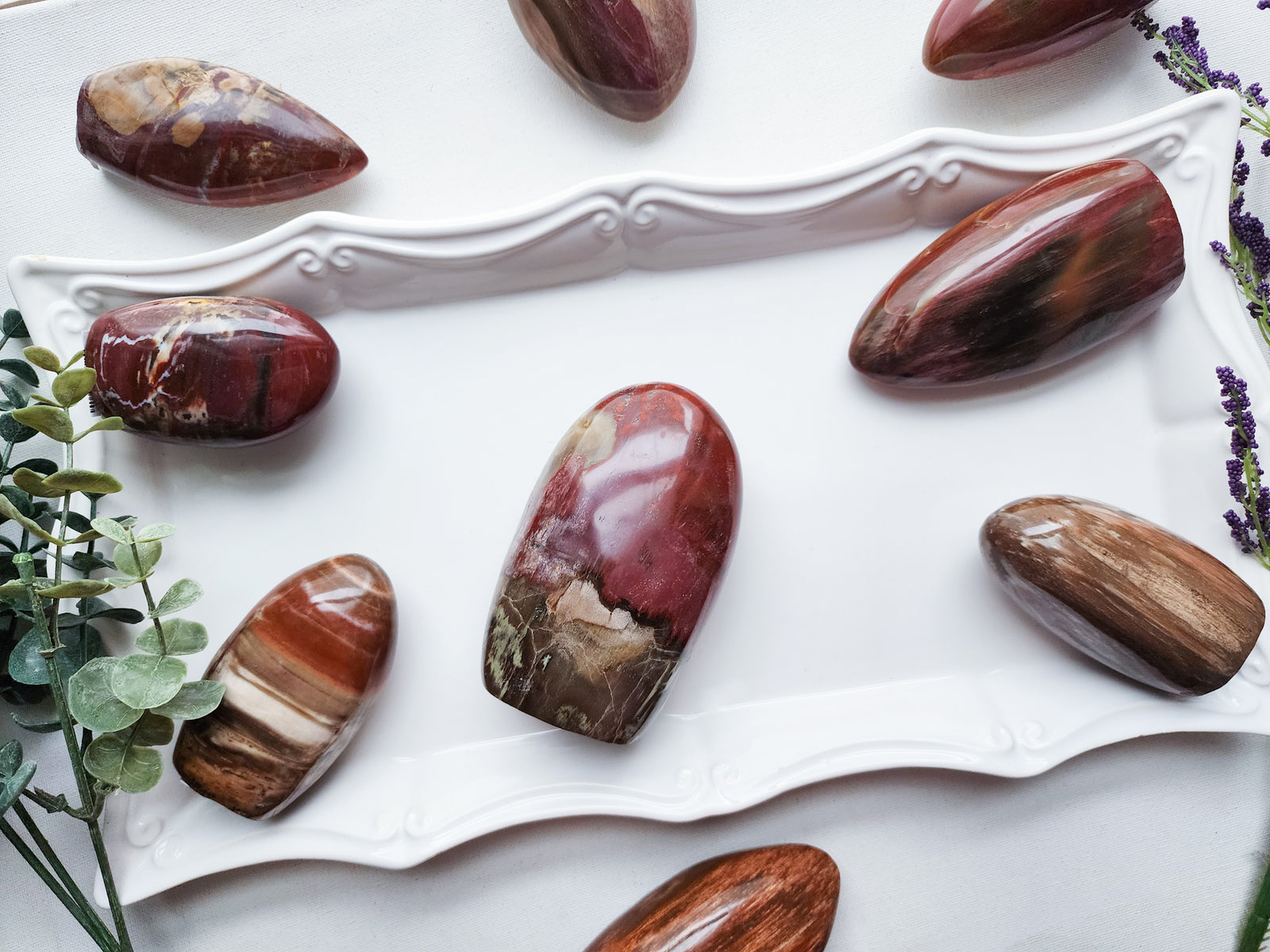 Petrified Wood Free Form